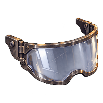 Clear Visor