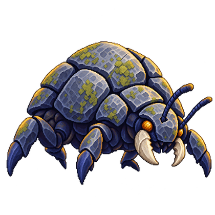 Pebble Beetle